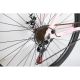 WINNER BIKE BIC. 29