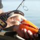 TRAKKER SPYDER SPOD MEDIUM ORANGE-BLACK - EP3105115