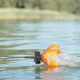 TRAKKER SPYDER SPOD MEDIUM ORANGE-BLACK - EP3105115