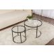 HANAH HOME Set klub stolova 60-42, crna/providna - EP3058036