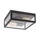 Rabalux Spoljna plafonska rasveta Zaton E27 2x MAX 60W mat crno (7070) - 7070-1