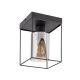 Rabalux Plafonjera Chadwick E27 1x MAX 25W crna (71031) - 71031