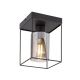 Rabalux Plafonjera Chadwick E27 1x MAX 25W crna (71031) - 71031