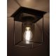 Rabalux Plafonjera Chadwick E27 1x MAX 25W crna (71031) - 71031