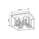 Rabalux Plafonjera Chadwick E27 4x MAX 25W crna (71034) - 71034