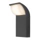 Rabalux Spoljna zidna rasveta Hongkong LED 9W crna (7166) - 7166