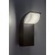 Rabalux Spoljna zidna rasveta Hongkong LED 9W crna (7166) - 7166