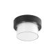 Rabalux Spoljnja zidna rasveta Spoljnja plafons Durbe LED 10W crna (7246) - 7246
