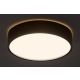Rabalux Plafonjera Larcia LED 18W crna (75009) - 75009