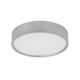 Rabalux Plafonjera Larcia LED 18W srebrna (75010) - 75010-1