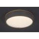 Rabalux Plafonjera Larcia LED 18W srebrna (75010) - 75010-1