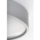 Rabalux Plafonjera Larcia LED 18W srebrna (75010) - 75010-1