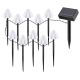 Rabalux Solarna rasveta Skadar LED 2W crna (77007) - 77007