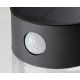 Rabalux Solarna rasveta Kapuas LED 15W crna (77015) - 77015