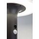 Rabalux Solarna rasveta Alaska LED 10W antracit siva (77017) - 77017