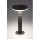 Rabalux Solarna rasveta Alaska LED 10W antracit siva (77018) - 77018