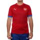PUMA Majica puma fss away jersey replica M - 774300-01
