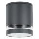 Rabalux Spoljna plafonska rasveta Zombor GU10 1x MAX 35W antracit siva (7817) - 7817