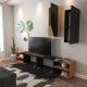 HANAH HOME TV komoda Zebra, crna/braon - 788DEC3091