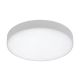 Rabalux Spoljna plafonska rasveta Tartu LED 24W mat belo (7894) - 7894
