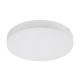 Rabalux Spoljna plafonska rasveta Tartu LED 24W mat belo (7894) - 7894