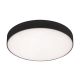 Rabalux Spoljna plafonska rasveta Tartu LED 24W mat crno (7898) - 7898
