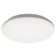 Rabalux Spoljna plafonska rasveta Eric LED 24W bela (7979) - 7979-1