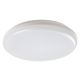 Rabalux Spoljna plafonska rasveta Eric LED 24W bela (7979) - 7979-1