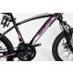 WINNER BIKE BIC.20