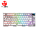 FANTECH Gejmerska mehanička tastatura MK910 PBT MAXFIT FROST WIRELESS Space (ŽUTI SWITCH) - 213774