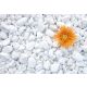 Nero Oblutak beli - Tasos 1-3cm 25kg - 12552