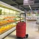 GIMI Kolica za kupovinu Easy go, 48l crvena - 06110