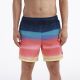 SPEEDO Šorc Print Redondo Edge Volley 17
