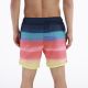 SPEEDO Šorc Print Redondo Edge Volley 17