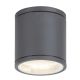 Rabalux Spoljna plafonska rasveta Akron GU10 1x MAX 35W antracit siva (8150) - 8150