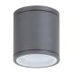 Rabalux Spoljna plafonska rasveta Akron GU10 1x MAX 35W antracit siva (8150) - 8150