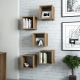 HANAH HOME Zidna polica Box 5/1, braon - 845HCT1609