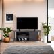 HANAH HOME TV komoda Bond, tamnobraon - 854KLN3067