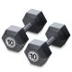 Iron Sport Bucice set 20kg, Hex tegovi, 2x10kg - HEXB020