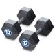 Iron Sport Bucice set 24kg, Hex tegovi, 2x12kg - HEXB024