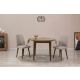 HANAH HOME Set trpezarijski sto i 2 stolice Vina 1005 3, braon/krem - 869VEL8731