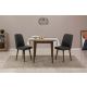 HANAH HOME Set trpezarijski sto i 2 stolice Vina 1053, braon/antacit - 869VEL8733
