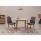 HANAH HOME Set trpezarijski sto i 2 stolice Vina 1501, krem/antacit - 869VEL8739