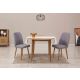 HANAH HOME Set trpezarijski sto i 2 stolice Vina 0701, krem/siva - 869VEL8742