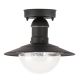 Rabalux Spoljna plafonska rasveta Oslo E27 1x MAX 60W crna (8716) - 8716