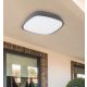 Rabalux Spoljna plafonska rasveta Austin LED 20W antracit siva (8797) - 8797