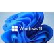 Microsoft Windows 11 Pro 64bit Eng Intl OEM DSP DVD (FQC-10529) - FQC10529