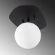 OPVIQ Plafonjera Well 11681, crna/bela - EP3007438