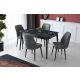 HANAH HOME Trpezarijski sto Lotus 1121, antracit - 974NMB1156