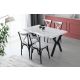 HANAH HOME Set trpezarijskih stolica Ekol 4/1, crna/bela - 974NMB1176